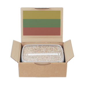 Mondo® Grow Kit PES